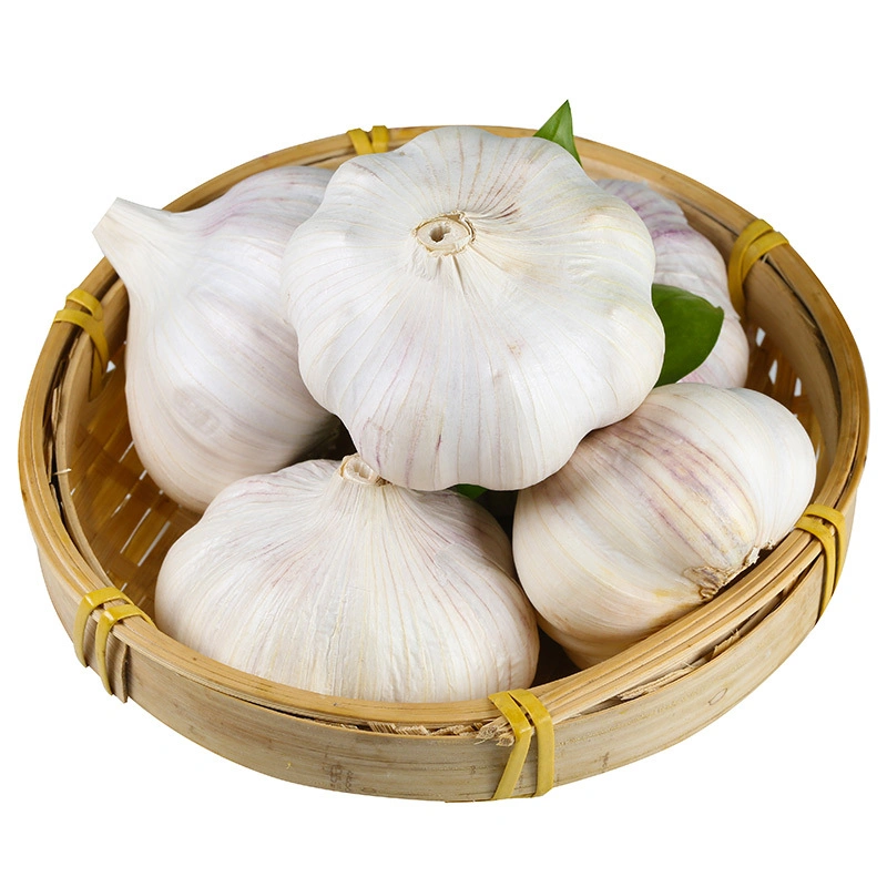 China/Chinese Best Fresh Natural Garlic Price - New Crop, Hot Sales/Dehydrated Garlic /Frozen Garlic /Fried Garlic