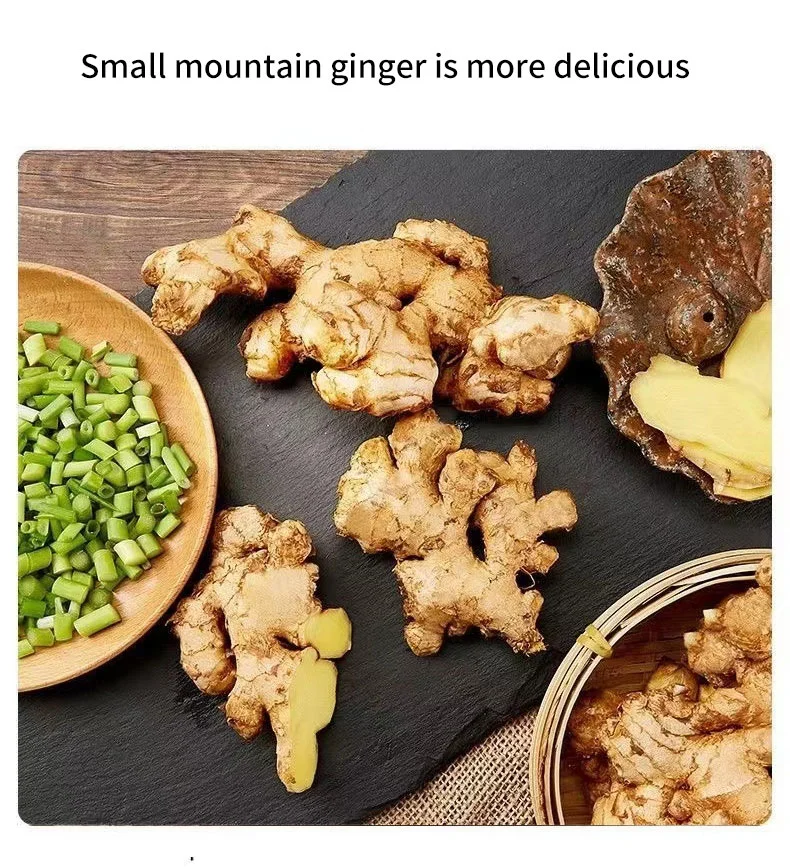 Fresh Ginger Origin Vietnam Best Quality Spices All Kinds Bulk Fresh Ginger Organic Ginger Fresh Ginger Fresh Vegetable Conventional Ginger for Wholesale