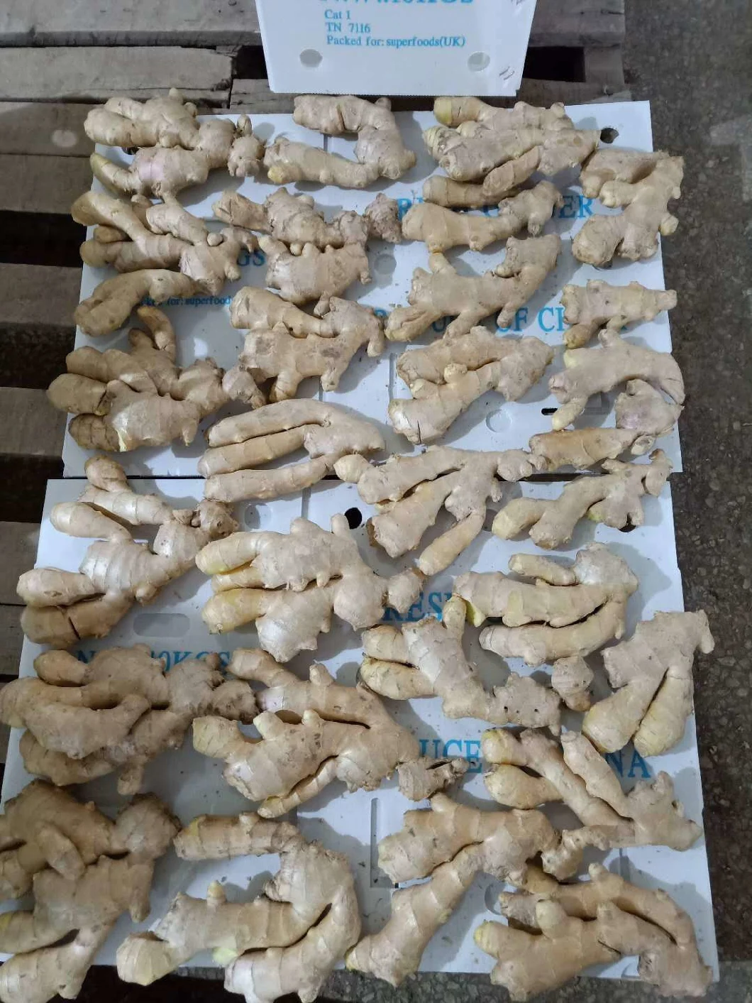 Chinese Selected Air Dried Ginger with Good Quality