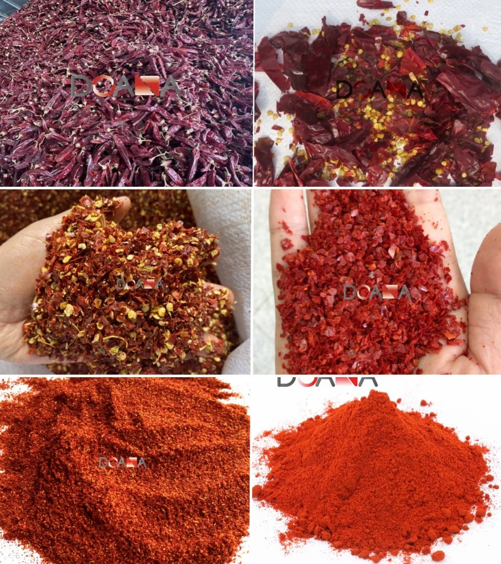 Dried Sweet Chili Powder Exporter High Quality Red Paprika Powder