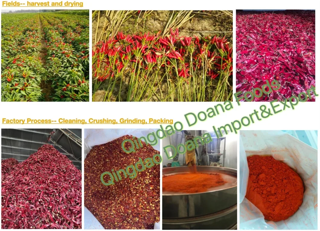 Hot Sale Seasoning Good Price Hot Chili Pepper