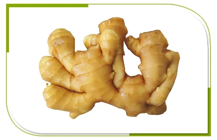 100% Natural High Quality Pure Dry Ginger Organic Ground Ginger Organic Fresh Ginger