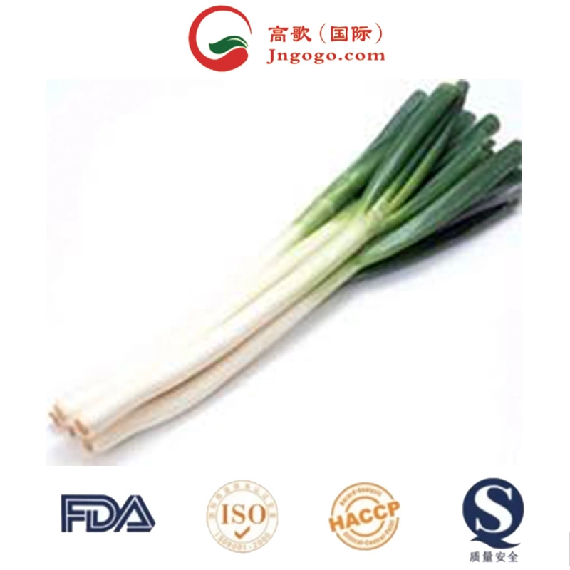 Top Quality Dehydrated Chive Powder Green Onion Spring Onion Shallot Flakes