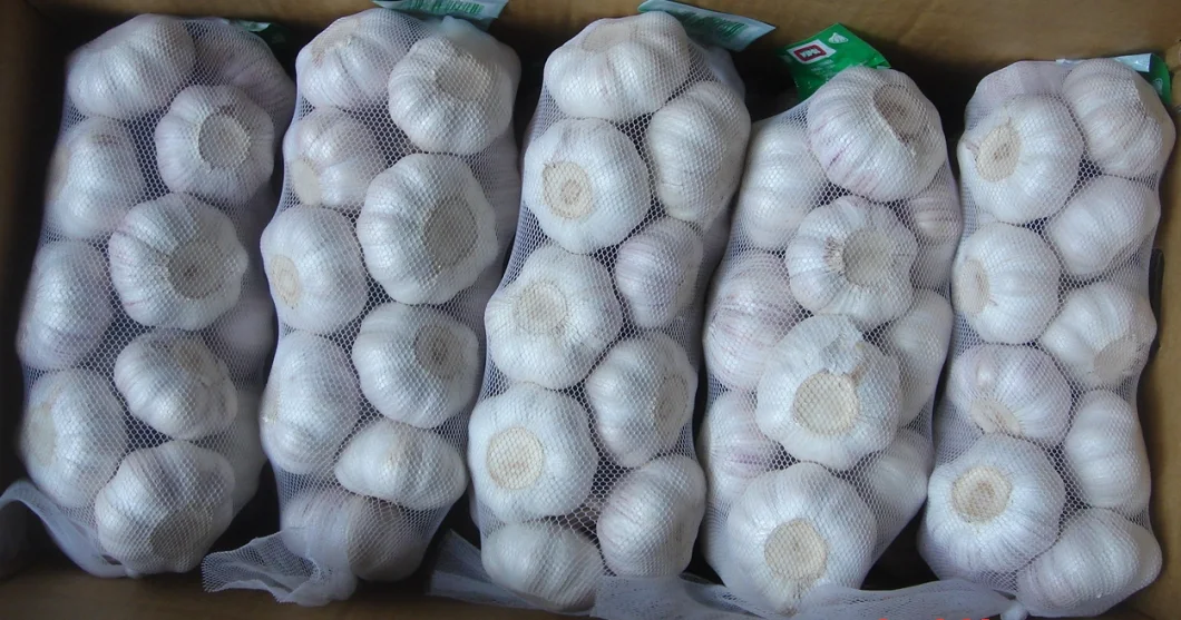 China/Chinese Best Fresh Natural Garlic Price - New Crop, Hot Sales/Dehydrated Garlic /Frozen Garlic /Fried Garlic