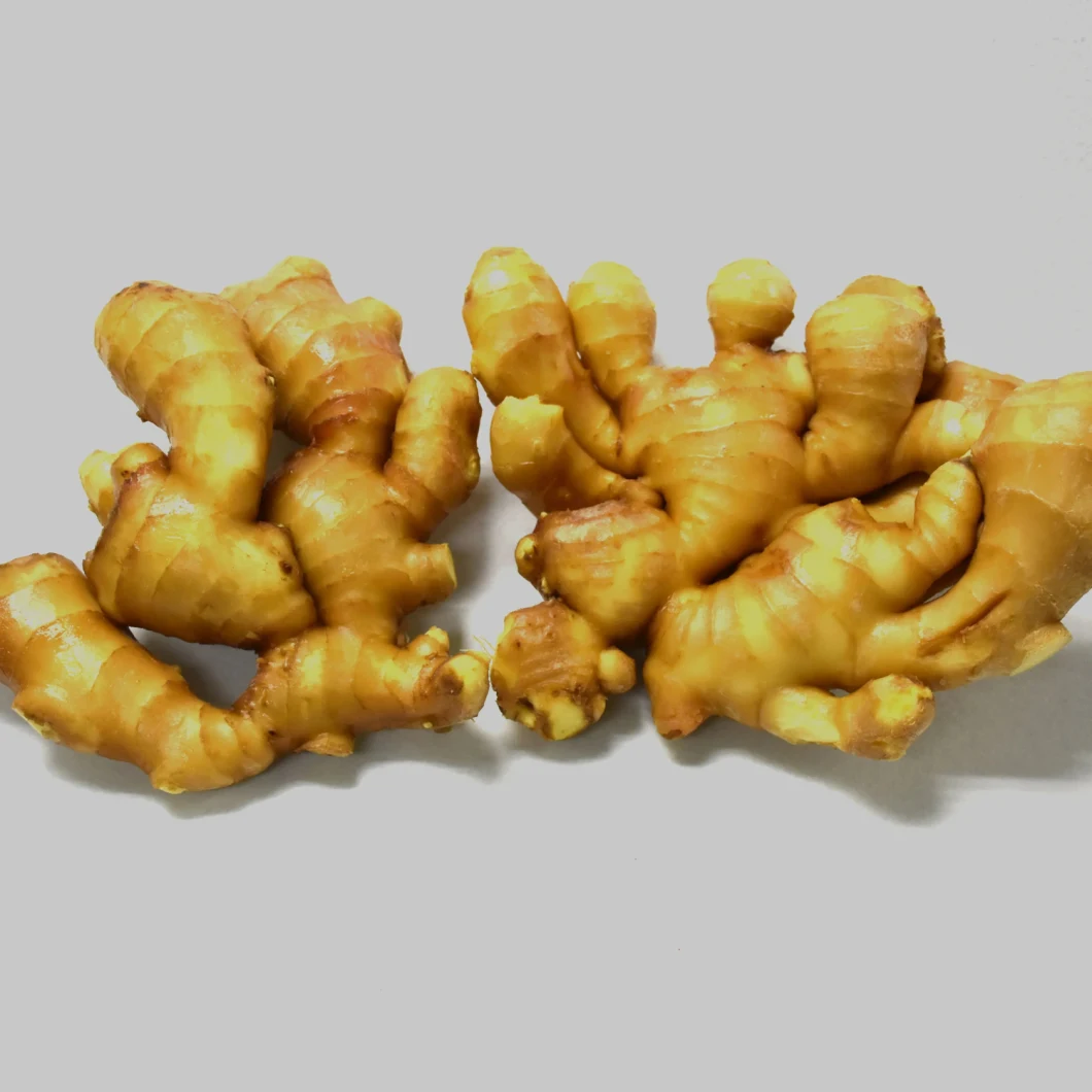 100% Natural High Quality Pure Dry Ginger Organic Ground Ginger Organic Fresh Ginger