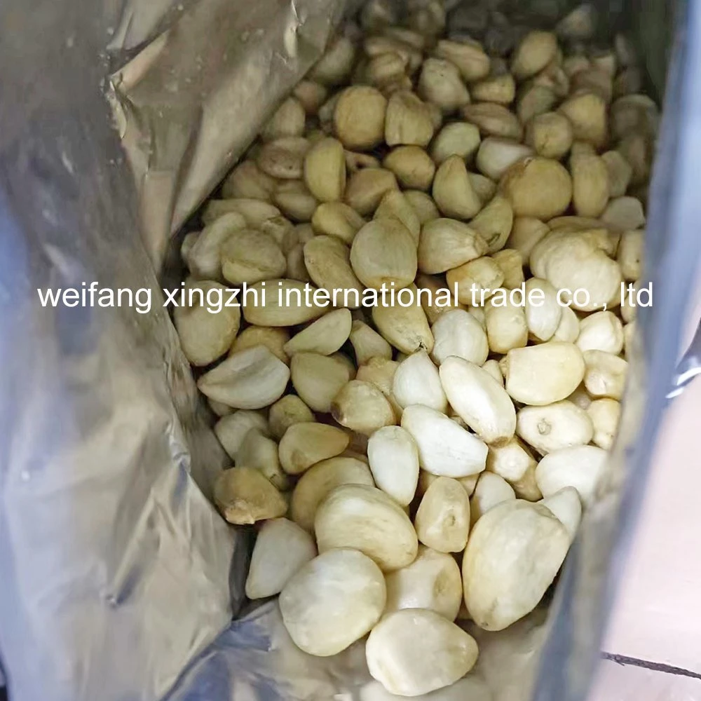 China Made Cheap Price Vacuum Fried Garlic Vf Garlic