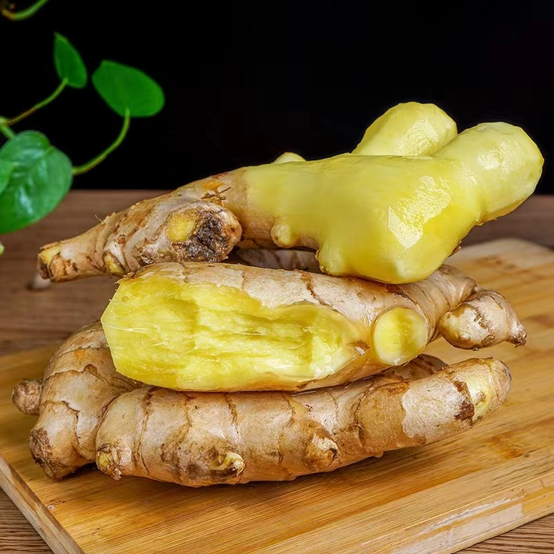 New Crop China Origin Fresh Yellow Ginger Gingembre Air Dried Super Quality Health Food Fresh Food Ginger