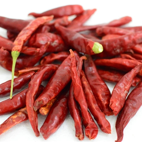 Venta de pimientos secos Gansu Hot Red Chili Pepper a buen precio