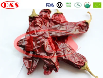 China Paprika Chilli Factory Supply Chiles secos